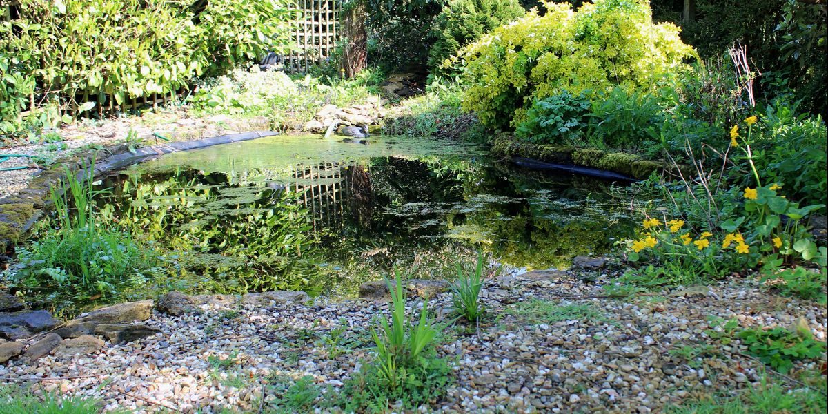 How To Create Your Own Garden Pond, How To Make Your Own Garden Pond