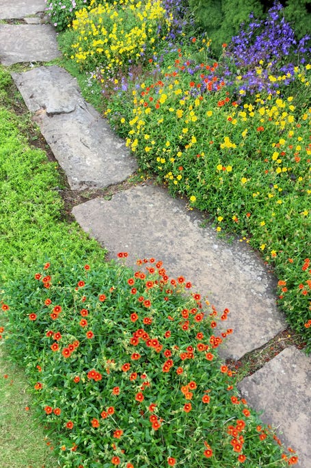 15 Best Garden Edging Ideas And Easy Landscape 15 Best Garden Edging Ideas And, Flowers For Edging Gardens