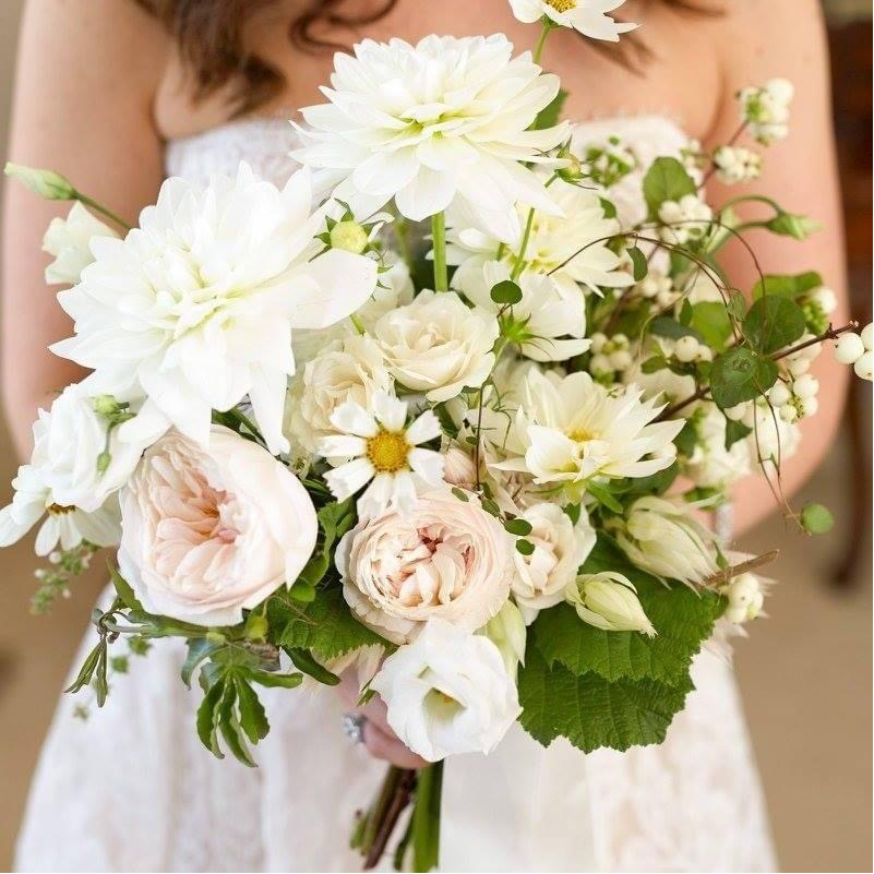6 Dahlia Flowers ~ Beige Peach ~ Silk Bush Wedding Bridal Bouquets Centerpieces 