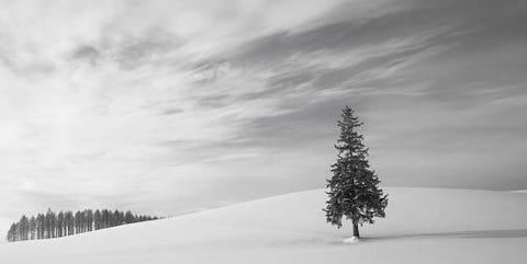 和の暦 師走12月7日 本格的な冬の到来 大雪 たいせつ 閉塞成冬 そらさむくふゆとなる 和の暦 師走12月7日 本格的な冬の到来 大雪 たいせつ 閉塞成冬 そらさむくふゆとなる