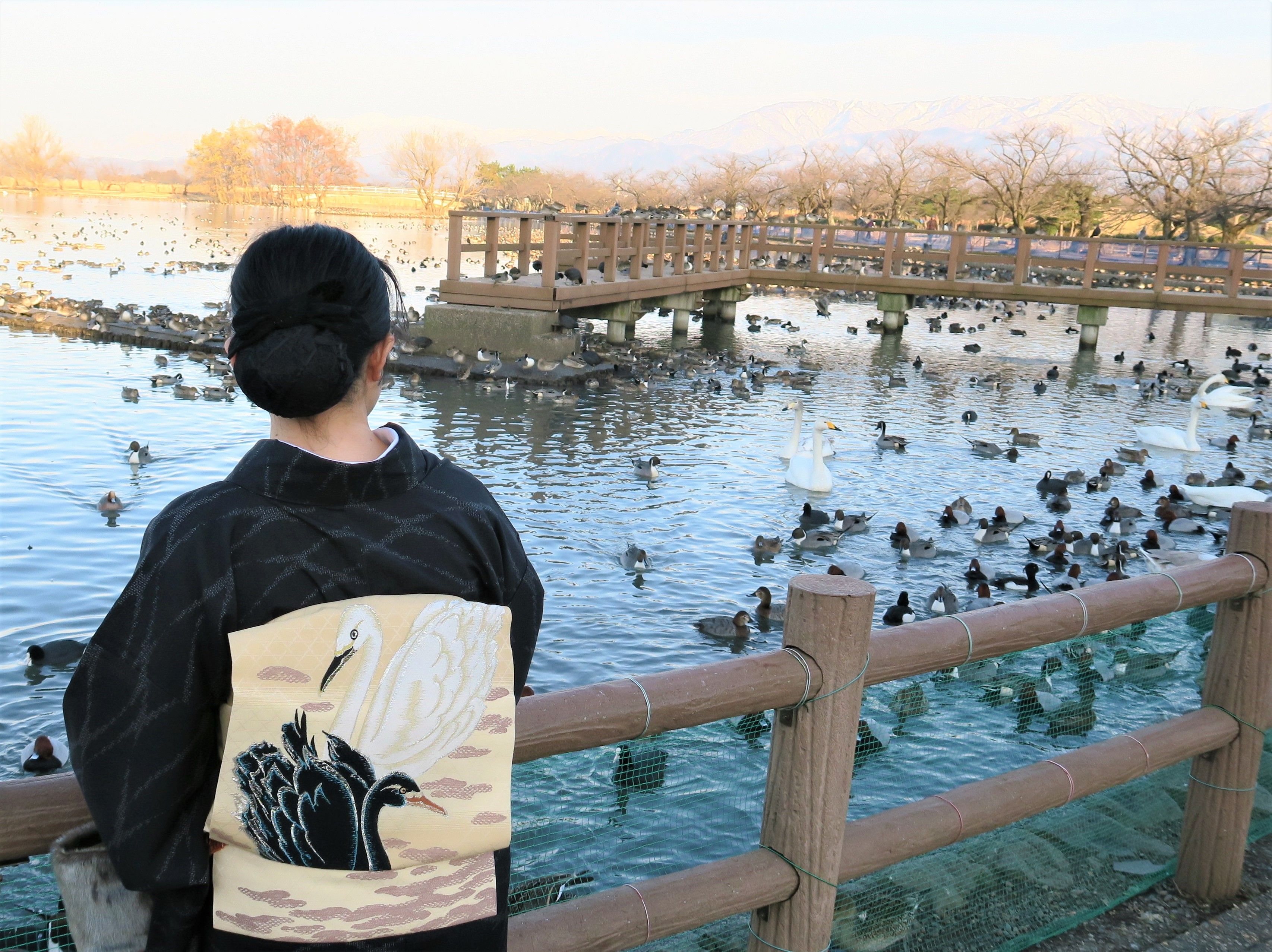 朝香沙都子の着物ダイアリー｜真綿紬のぬくもり