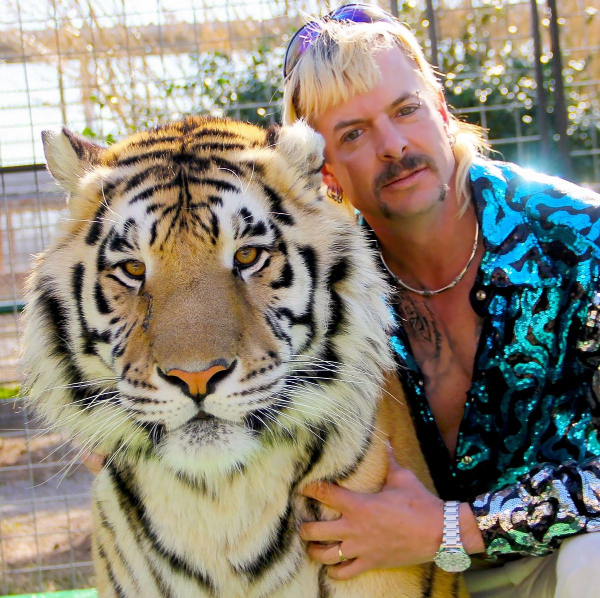 Tiger King: Joe Exotic and Doc Antle are not a joke… so why are we  romanticising them?