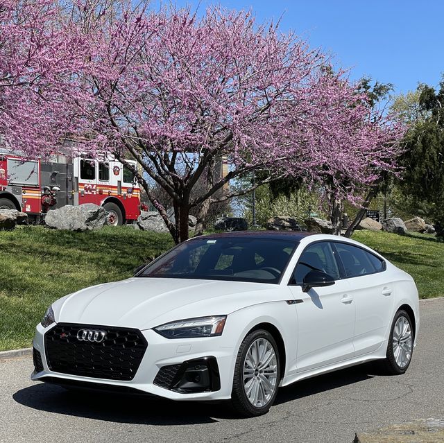 audi s5 sportback in front of cherry blossoms