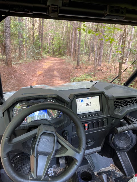 rzr trail interior, looking ahead to the trail through the woods