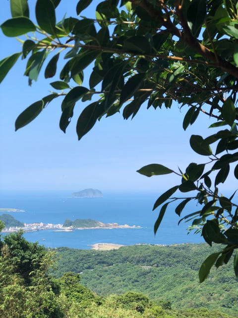 藏在九份山城裡的清新小綠洲 野事草店 純白空間配上溫度老傢俱 在絕美天光下喝一口療癒青草茶 藏在九份山城裡的清新小綠洲 野事草店 純白空間配上溫度老傢俱 在絕美天光下喝一口療癒青草茶