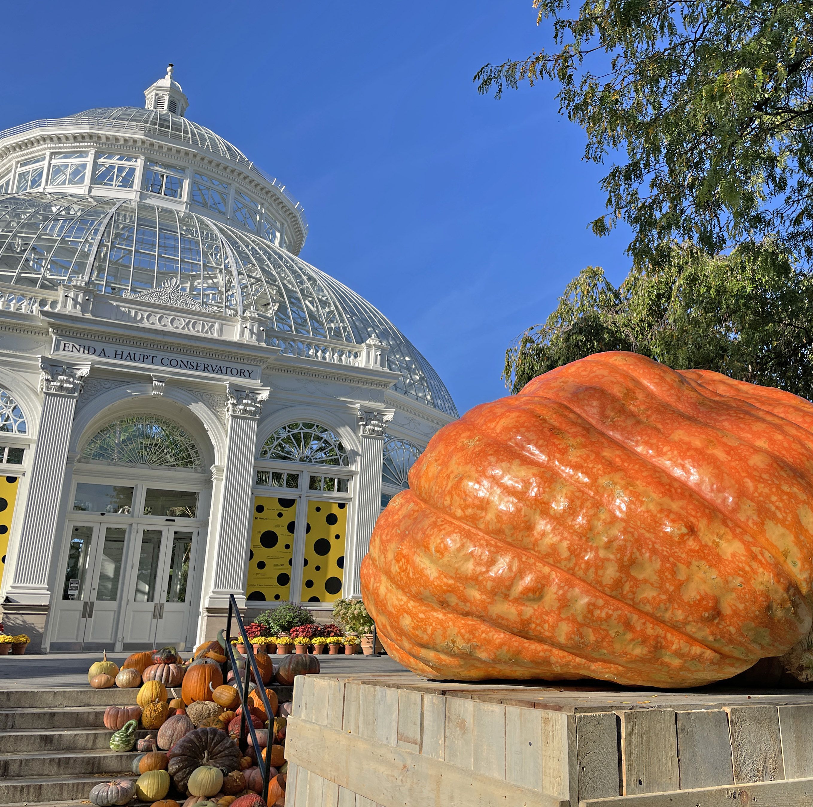 These Gigantic Pumpkins Are on Display at the New York Botanical Garden Through Halloween