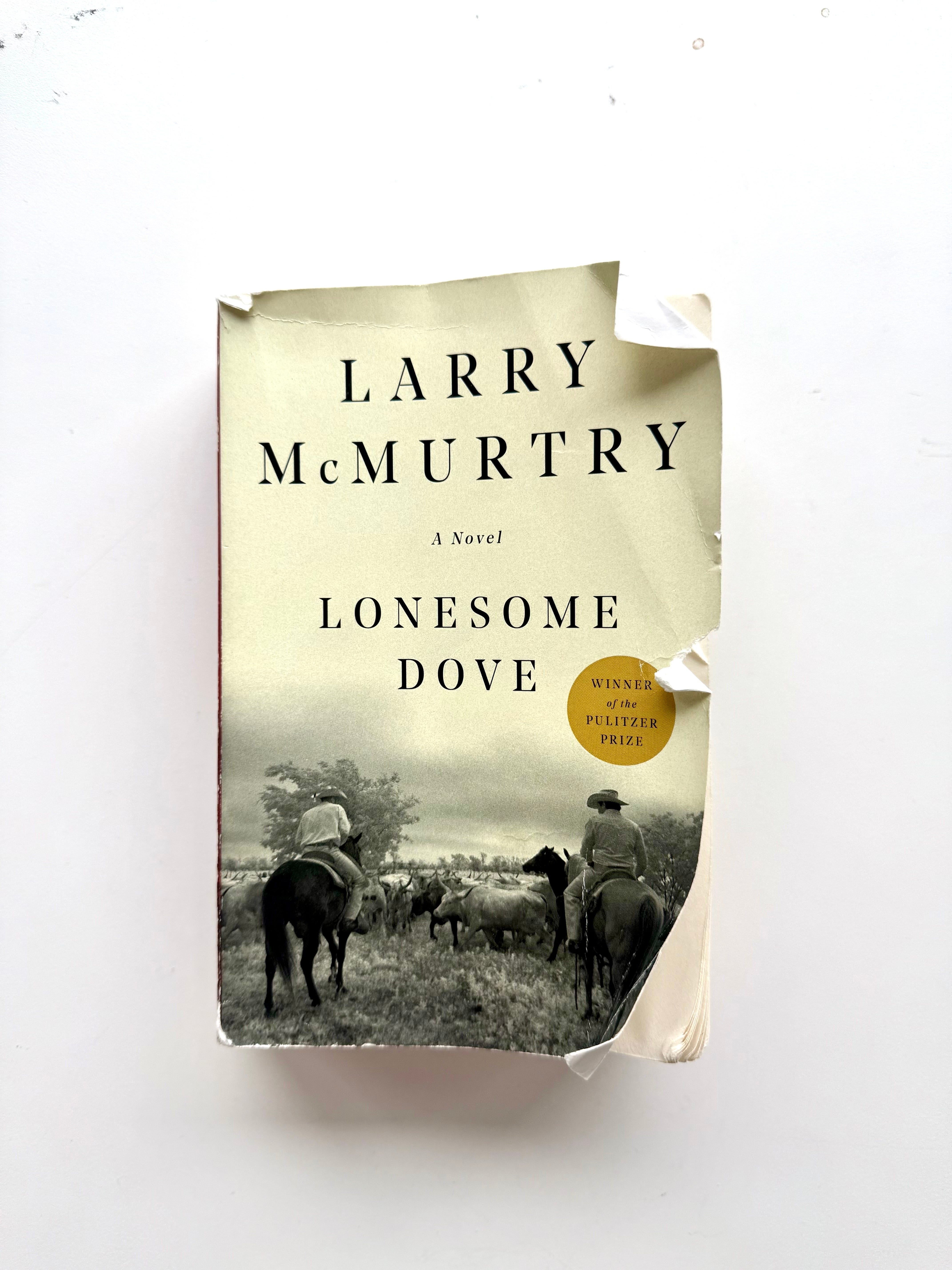 Why Is Everyone Reading 'Lonesome Dove,' an 858-page Western From 1985?