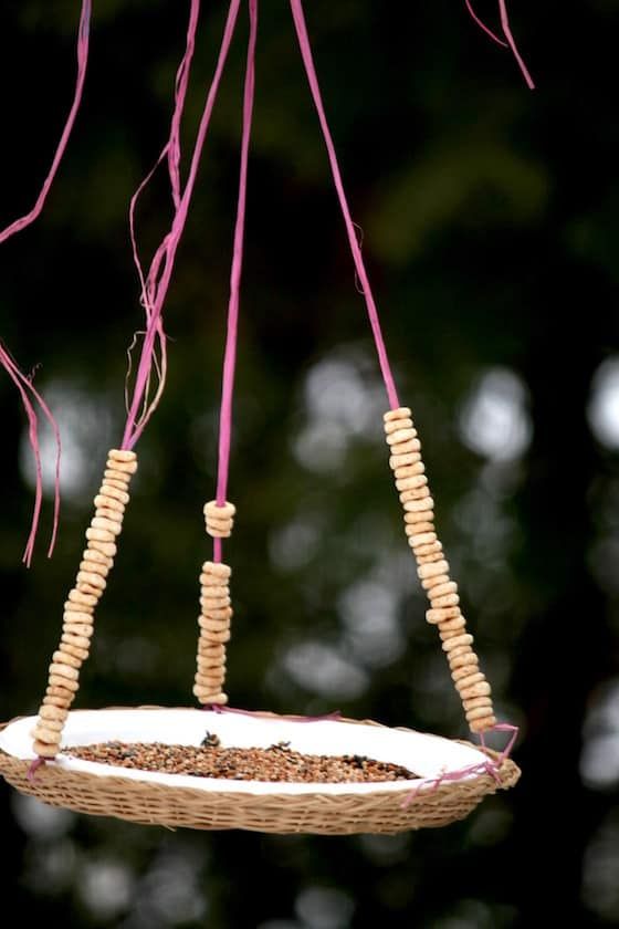 diy plate bird feeder