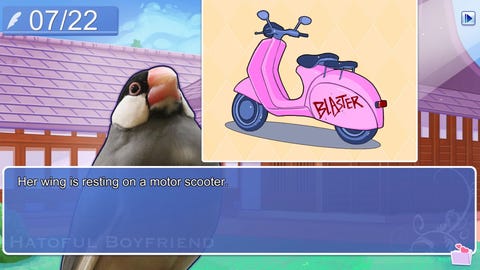 Pigeon Pigeon