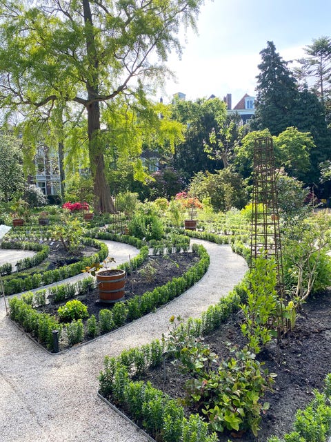 hortus botanicus in amsterdam