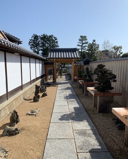 京都・大徳寺芳春院に「盆栽庭園」が開園。4月4日まで特別展が開催中