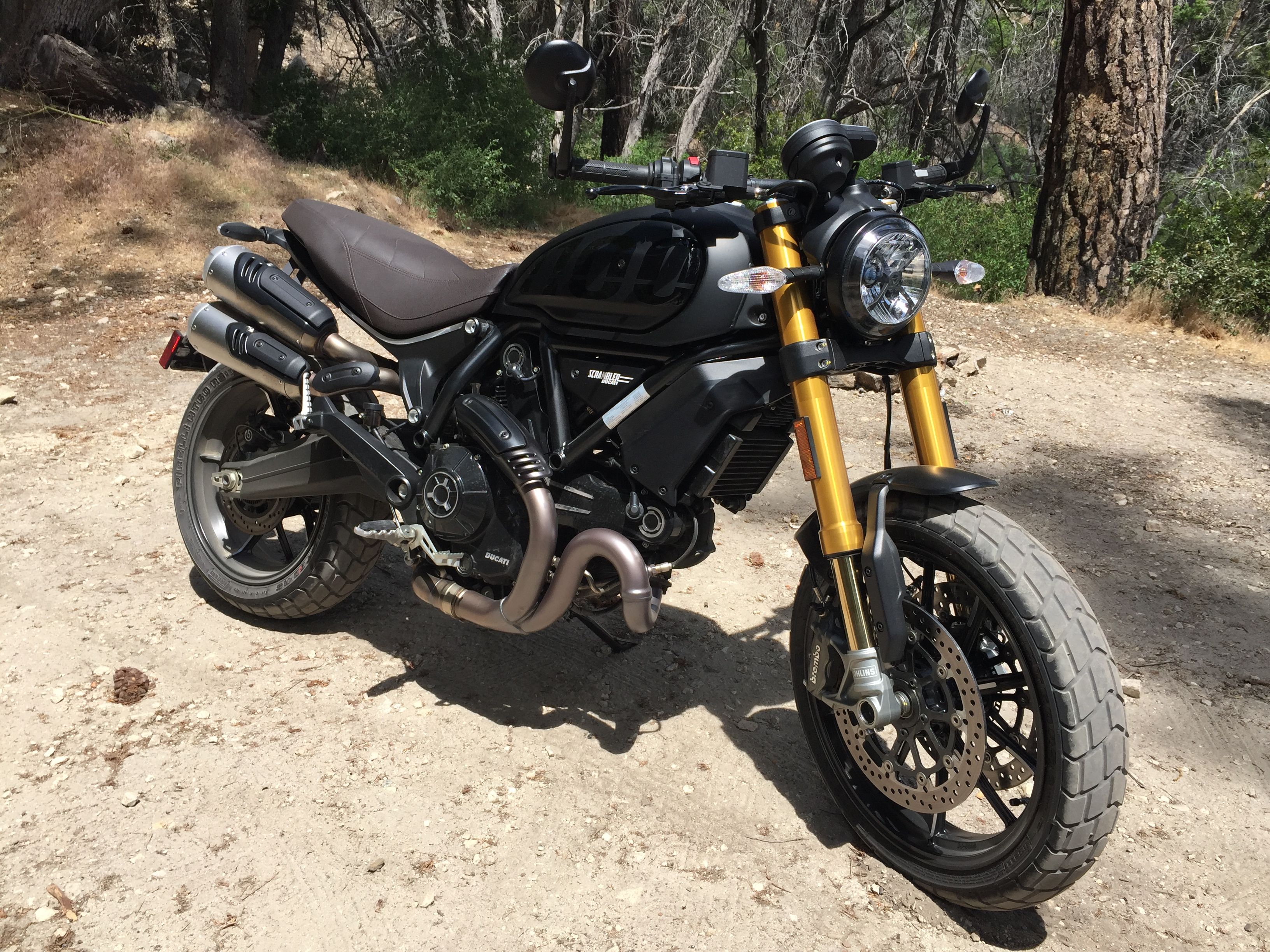 ducati scrambler 1100 desert sled