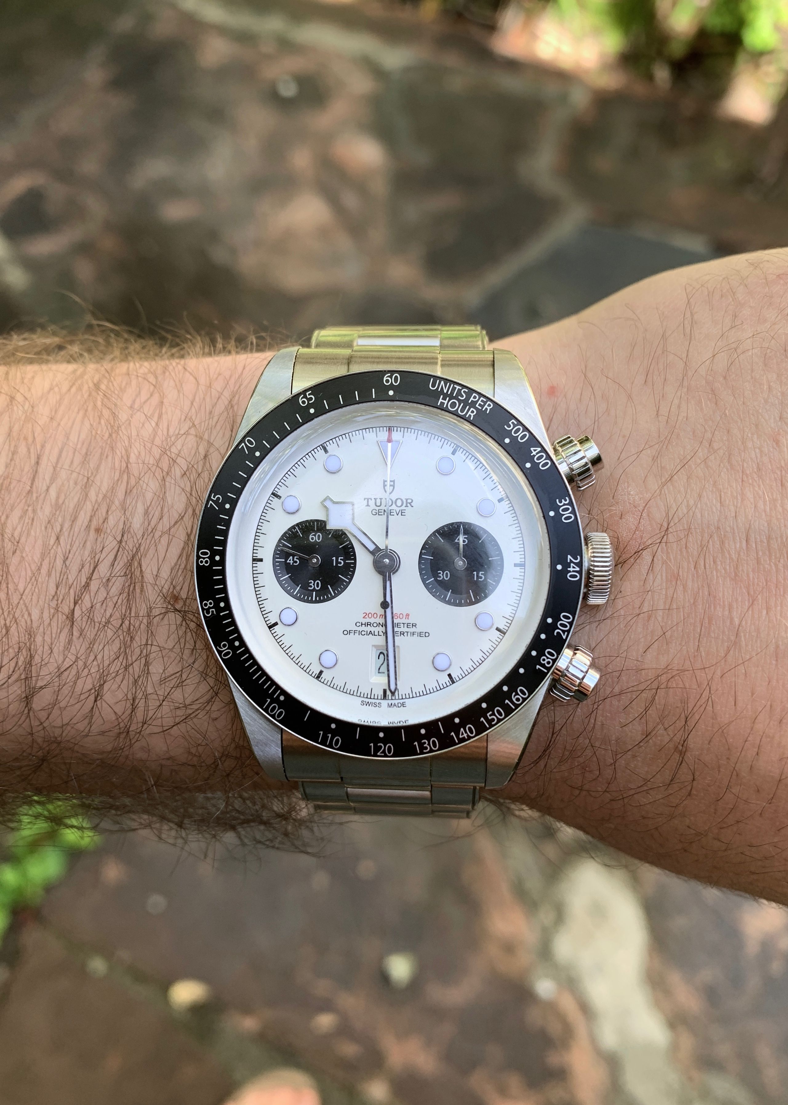 tudor black bay chronograph panda