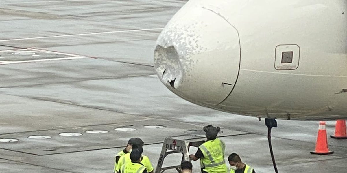 Delta Flight Emergency Landing Bird Strike Plane Dented Nose