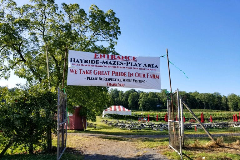 best apple picking near nyc 8 fun apple orchards farms christmas tree farms near nyc