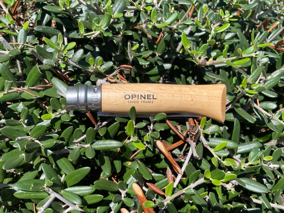 Why Is Opinel's No. 8 One of the Most Popular Knives Around?
