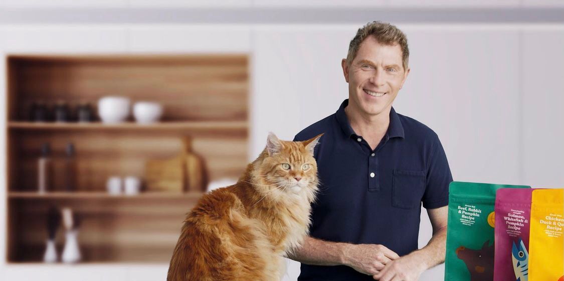 Bobby Flay Is Releasing A Pet Meals Model With His Cat Nacho