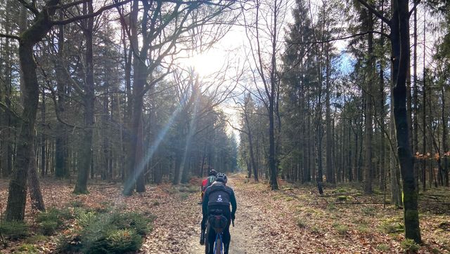 twee fietsers in het bos in drenthe die een bikepacking gravelroute in drenthe rijden
