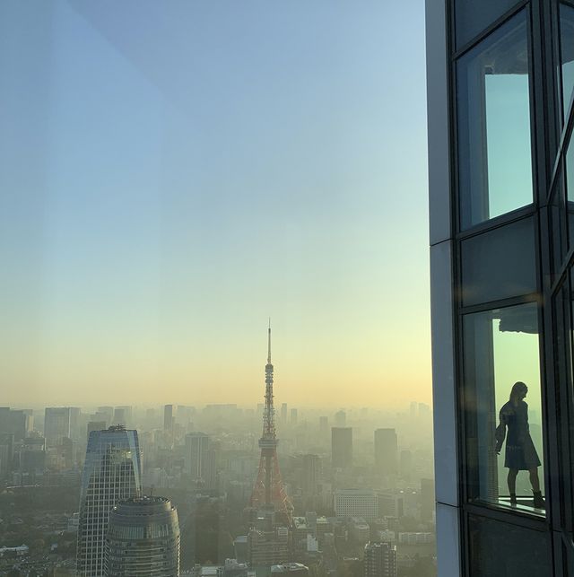 東京タワーをのぞむホテルからの景色