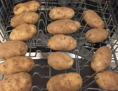 Potatoes in dishwasher