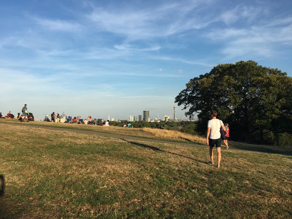 Primrose Hill by JAIMIE POTTERS