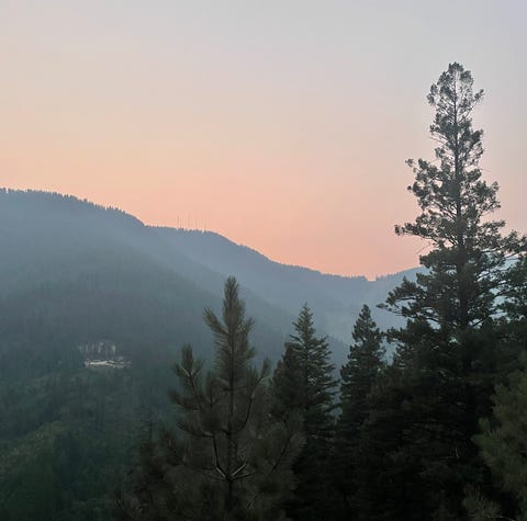 flathead forest