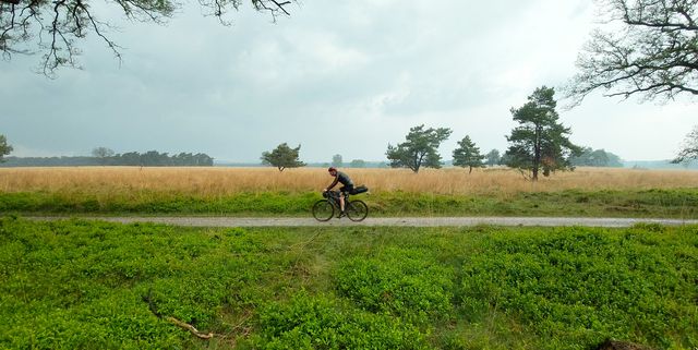 bikepacking fietser op de veluwe