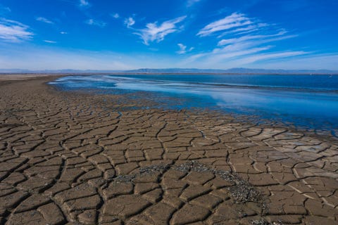 salton sea in california faces ecological collapse