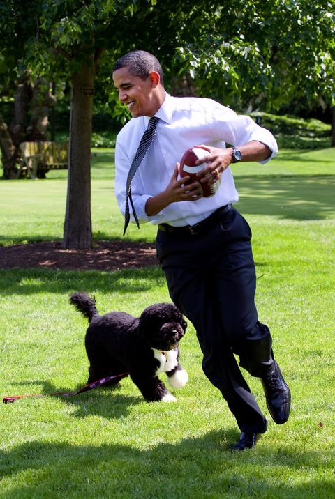 Obama On The South Lawn