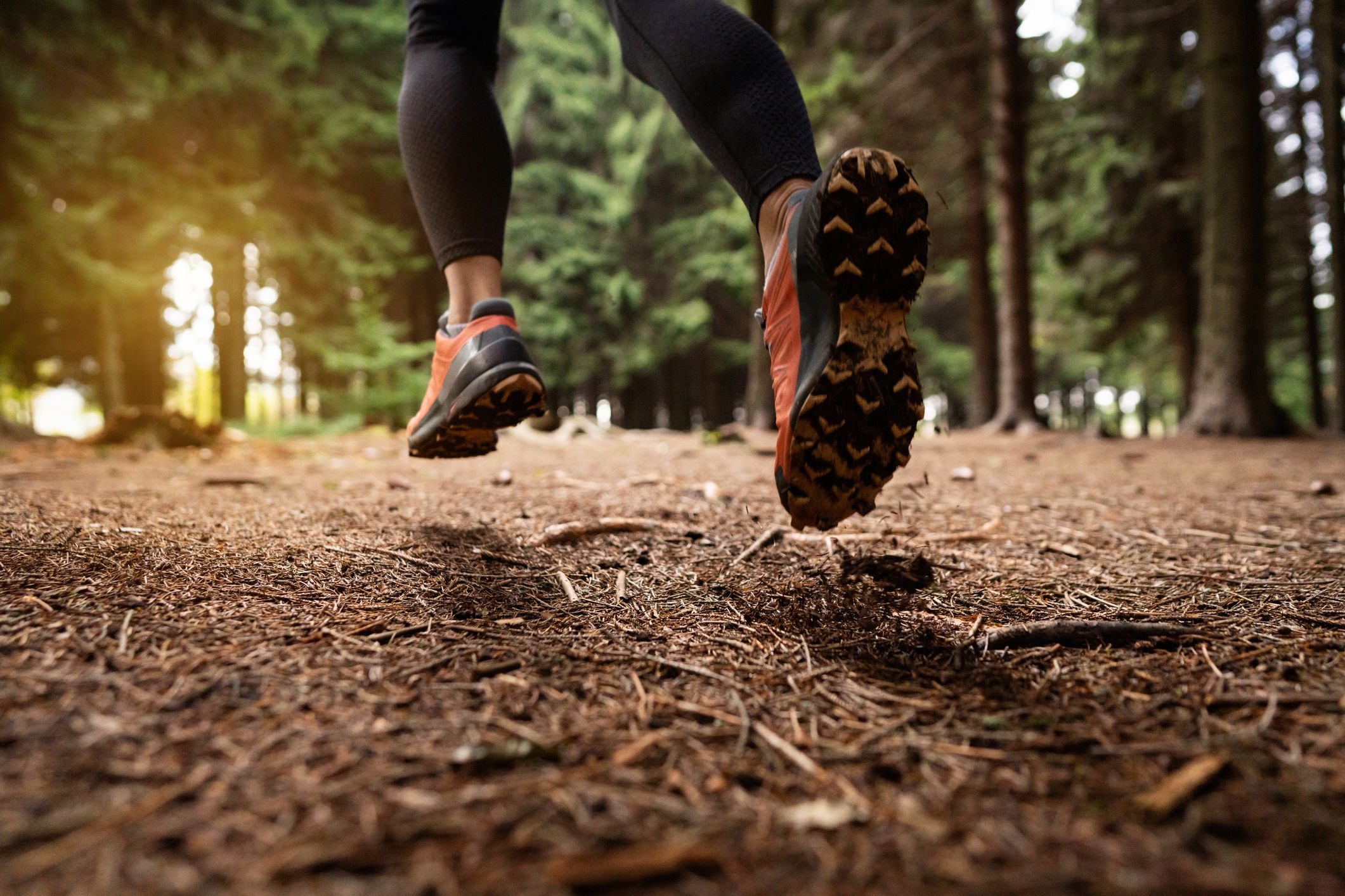 las mejores zapatillas de trail 2018