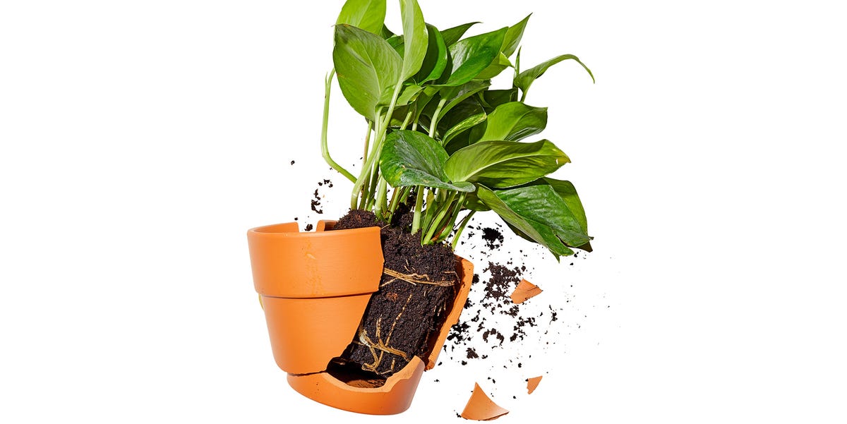 Replace Your Houseplants With Bold 1980s-Inspired Decor