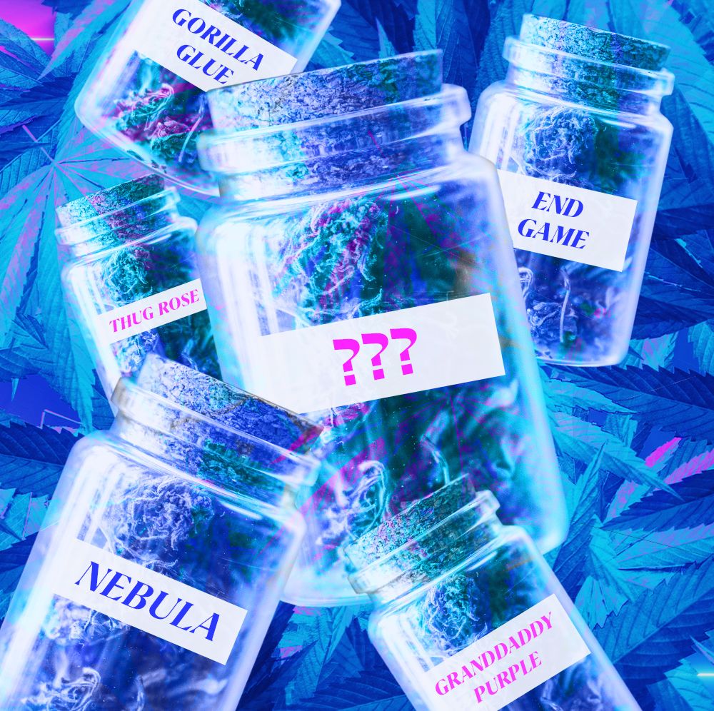 How Weed Strains Get Their (Amusing, Provocative, Downright Wacky) Names