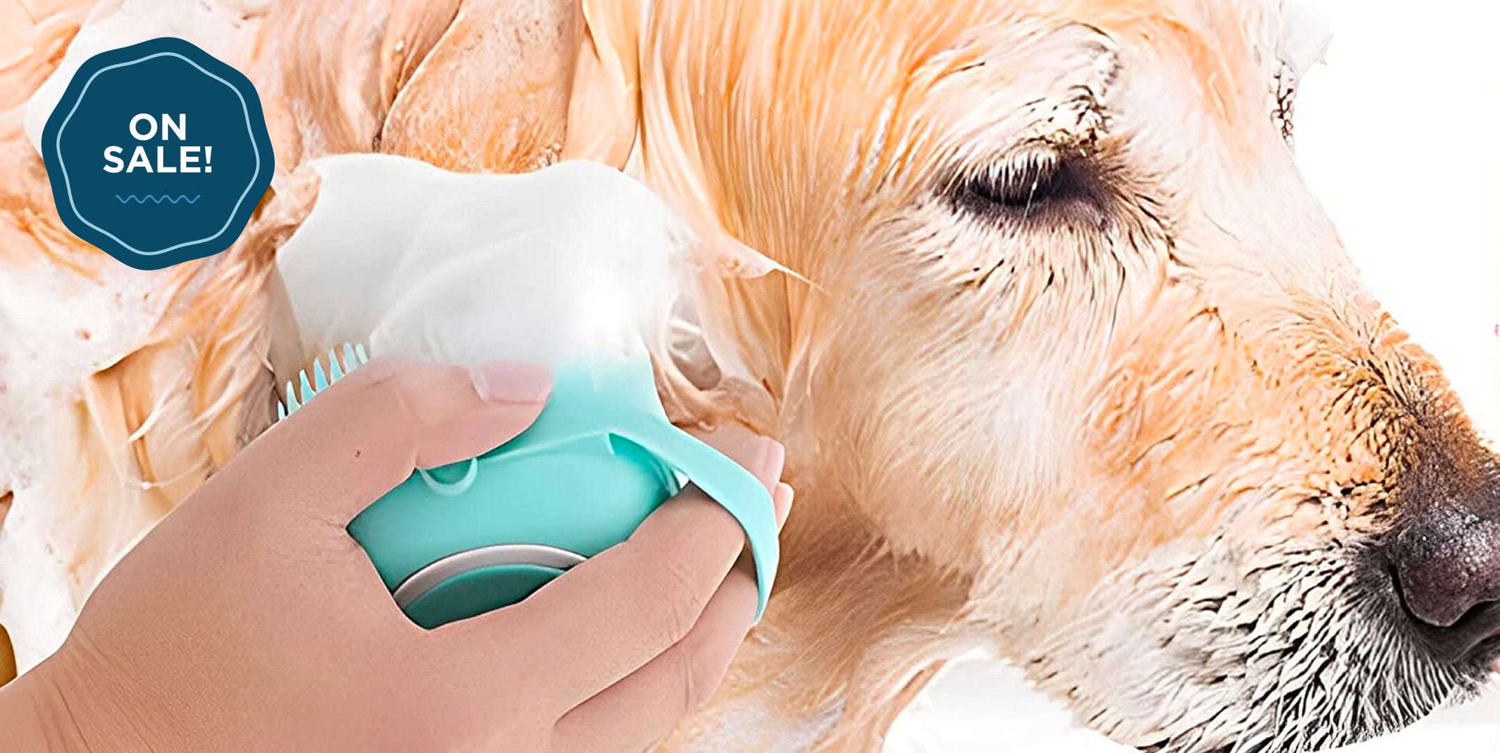 This Tiktok-Favorite Dog Brush Is Only $6 on Amazon