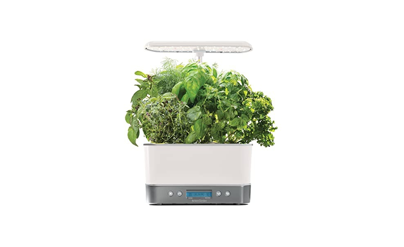 The Best Indoor Gardening Kits to Grow Veggies All Year Long