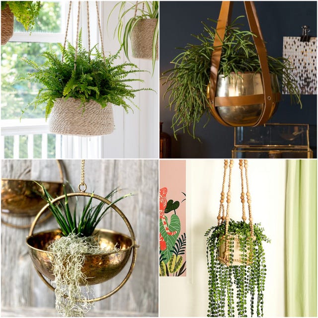 13 Best Indoor Hanging Planters