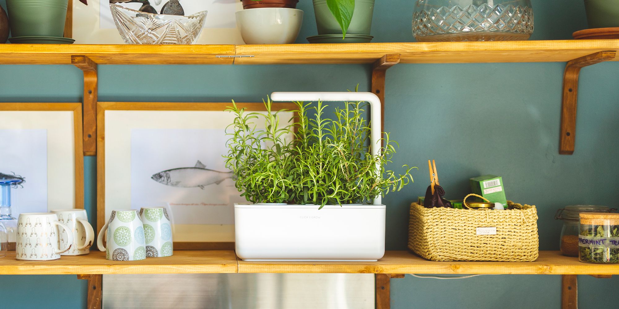 10 Best Indoor Herb Garden Ideas For 2020 Indoor Herb Kits
