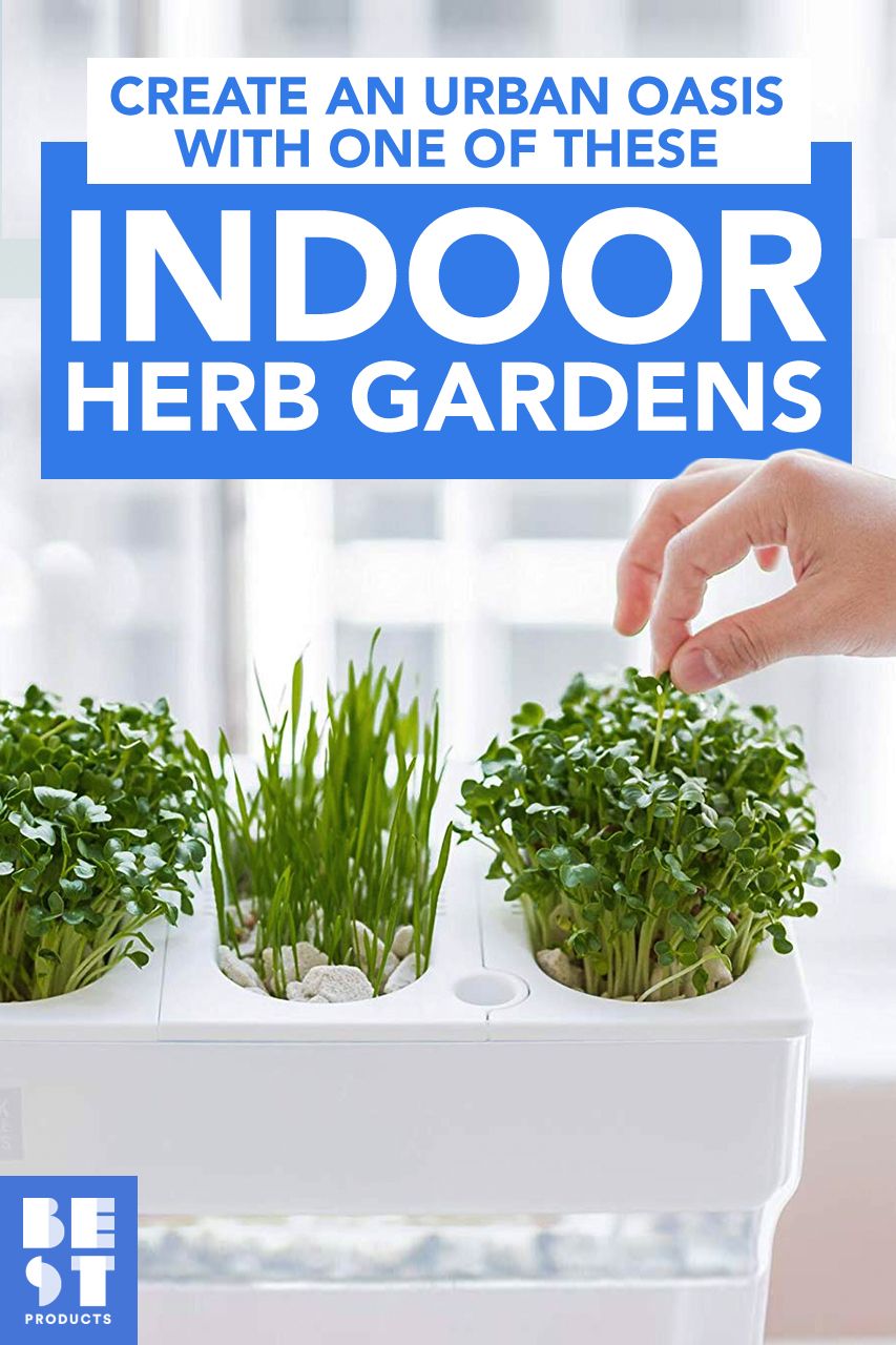 indoor herb garden download