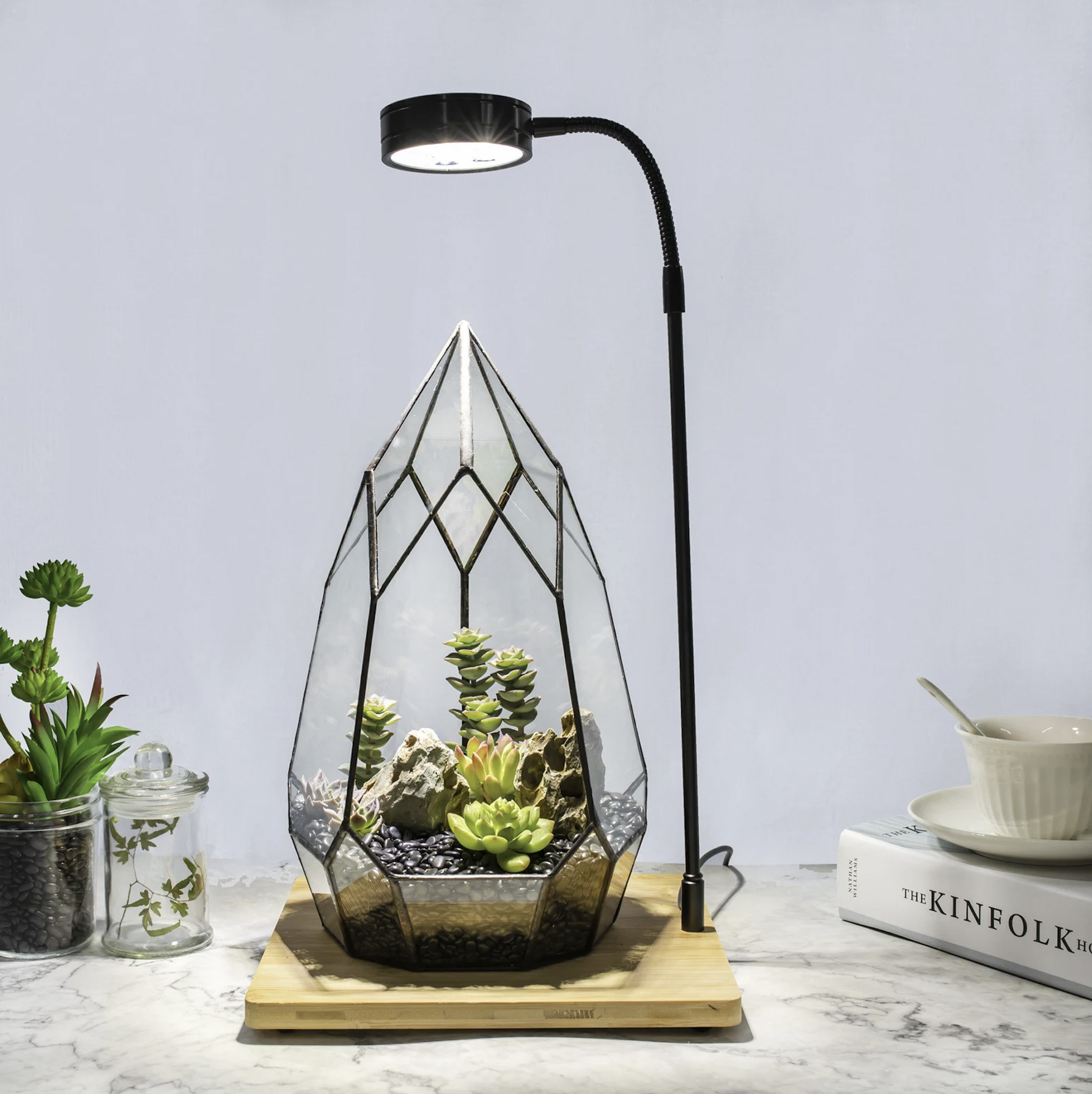 decorative plant lights