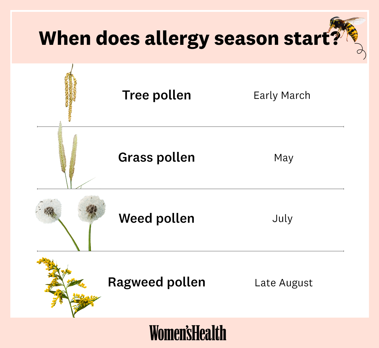 Allergy Chart For Today