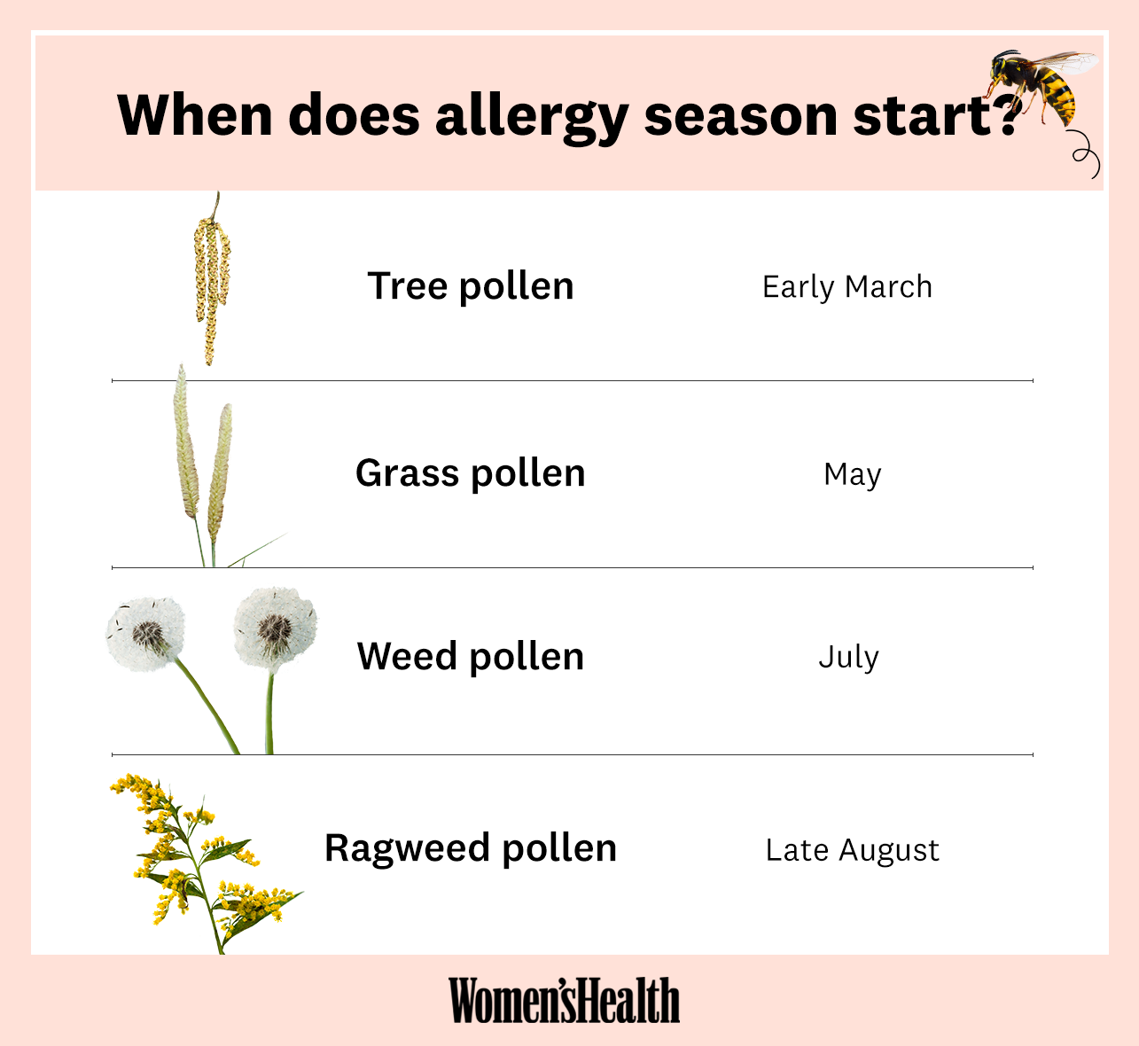 When Does Allergy Season 2021 Start\u2014And When Should I Start Taking