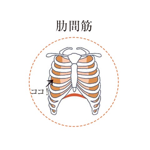 3カ月で ぽっこりお腹 を引っ込める1日10分メソッド 3カ月で ぽっこりお腹 を引っ込める1日10分メソッド