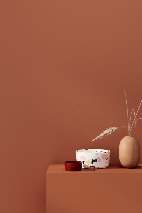 paint colors 2020- terracotta wall
