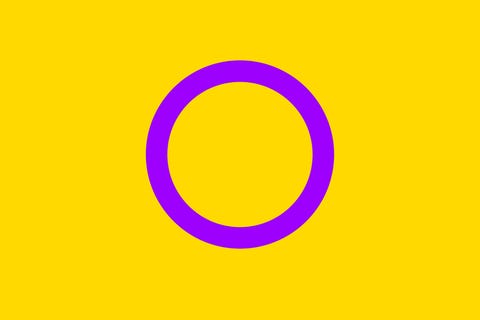 30 Different Pride Flags And Their Meaning Lgbtq Flags Names 30 Different Pride Flags And Their Meaning Lgbtq Flags Names