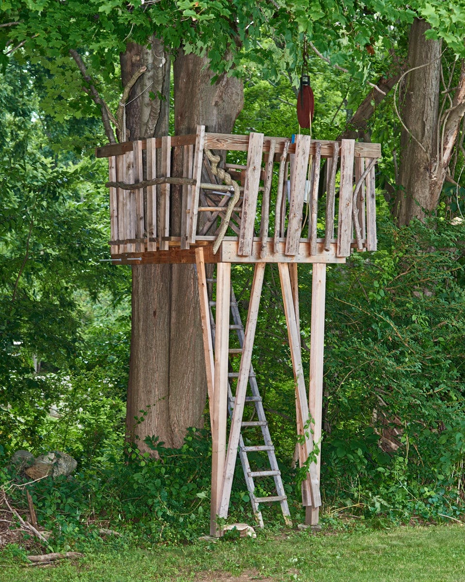 Triangle Floor Tree House How to Build a Treehouse for Your Backyard Tree House Plans