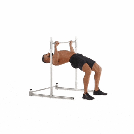 Inverted row, back workout