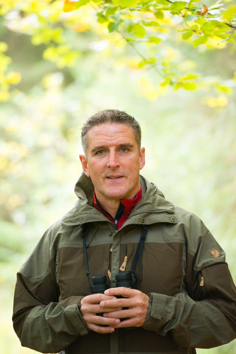 iolo williams portrait