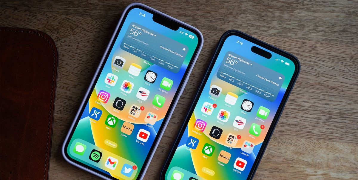 What's the Difference Between Apple's 2 Biggest iPhones?