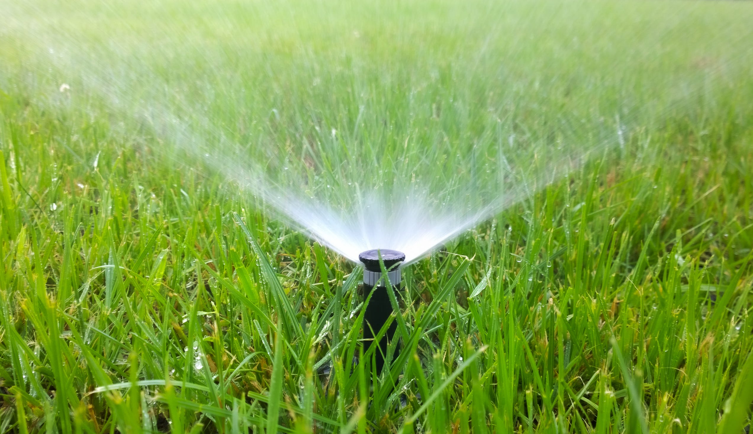 The Best Time of Day to Water Your Lawn, According to Experts