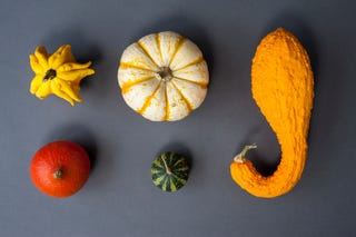 Une courge est-elle un fruit