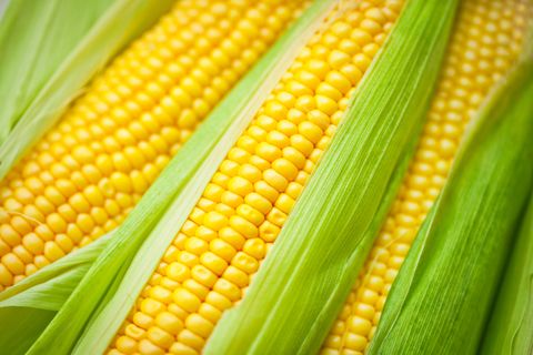 is corn grain